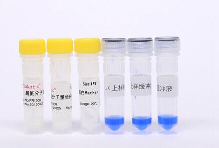 超低分子量蛋白质Marker(3.3-20.1kDa)15T